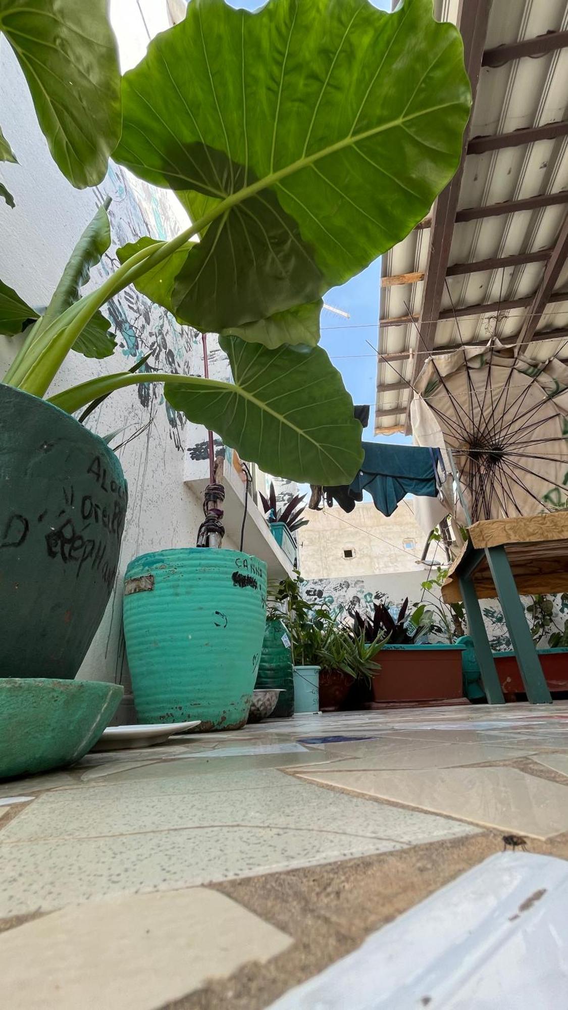 Dar Dyali Rooftop ⁿᵉᵃʳ ⁿᵍᵒʳ ᵇᵉᵃᶜʰ ᵃⁿᵈ ⁱˢˡᵃⁿᵈ ดาการ์ ภายนอก รูปภาพ