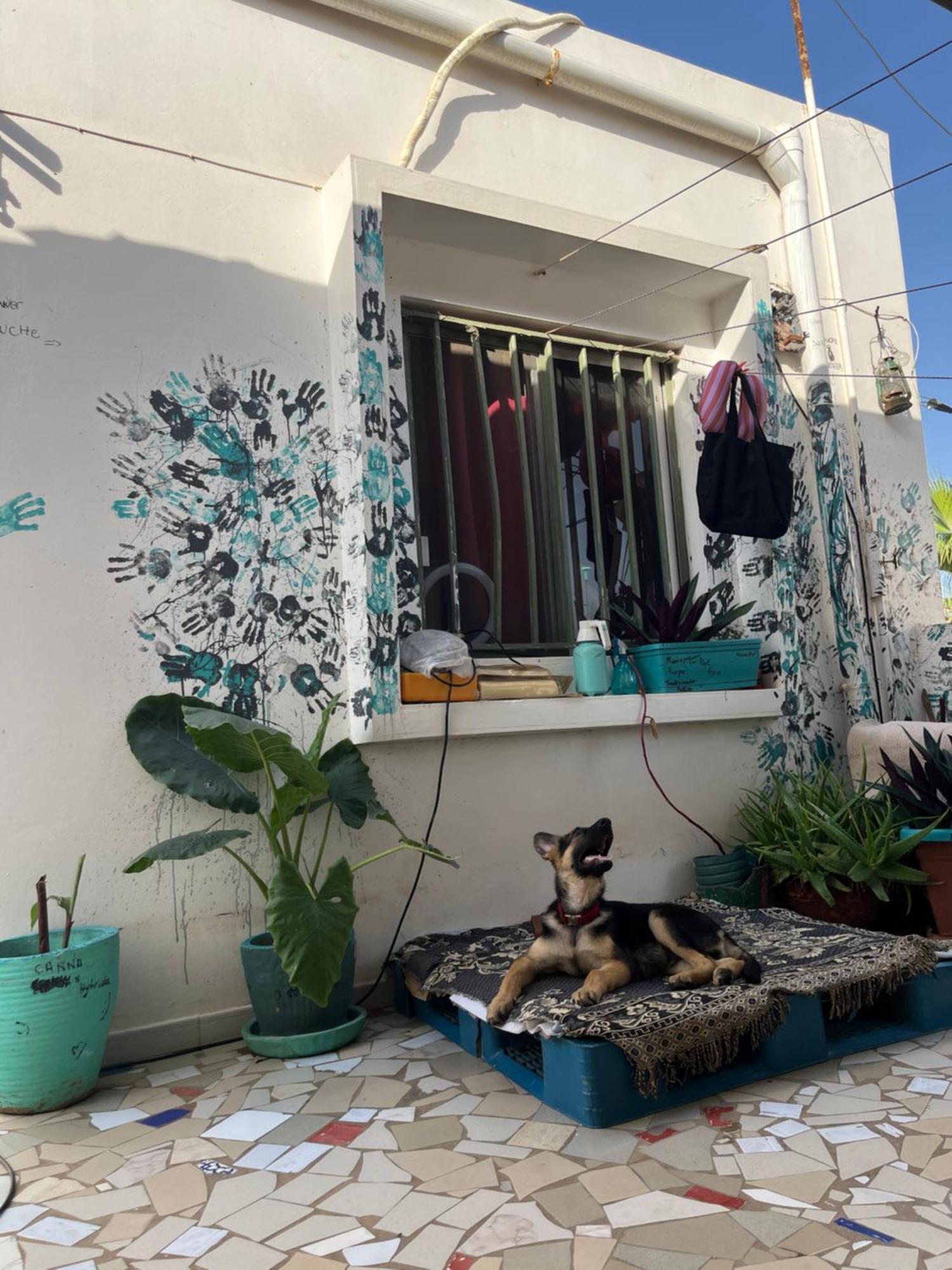 Dar Dyali Rooftop ⁿᵉᵃʳ ⁿᵍᵒʳ ᵇᵉᵃᶜʰ ᵃⁿᵈ ⁱˢˡᵃⁿᵈ ดาการ์ ภายนอก รูปภาพ